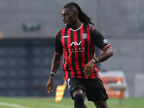 עתיד לוט בערפל. בוטאקה (ברני ארדוב)