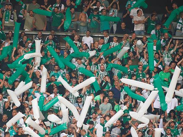 חגיגות בשבת ובראשון. אוהדי חיפה (אלן שיבר)