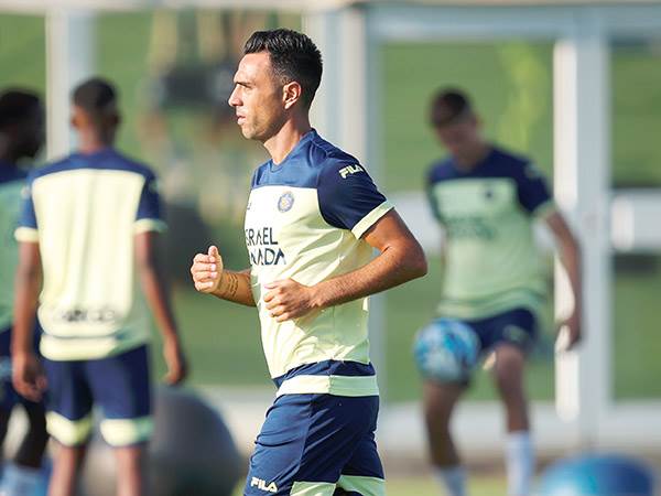 זהבי. מייעץ לקין (אלן שיבר)