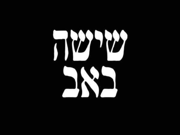 הסטורי של עידו קוז'יקרו