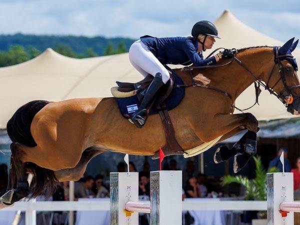 (תומס הולצבכר)