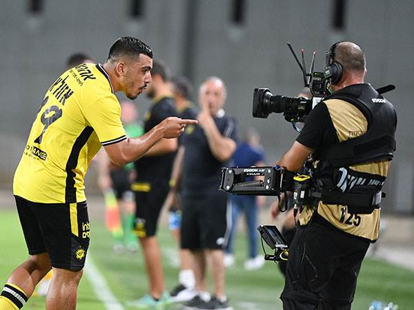 כשיר למשחק (ברני ארדוב)