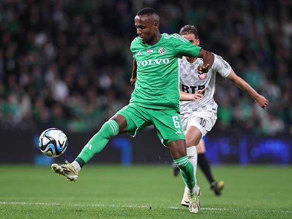 (מאור אלקסלסי)