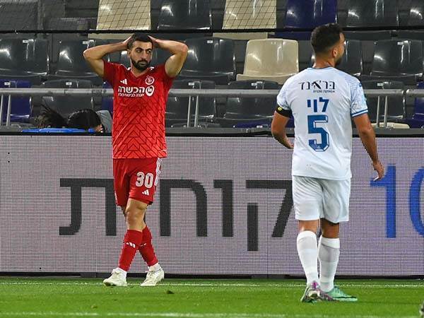 (ברני ארדוב)