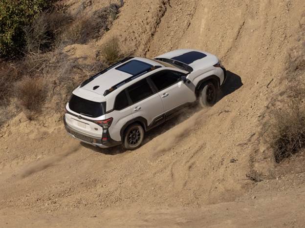 פורסטר Wilderness - זה לא רק עיצוב קשוח