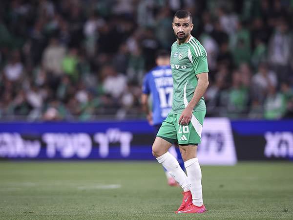 (מאור אלקסלסי)