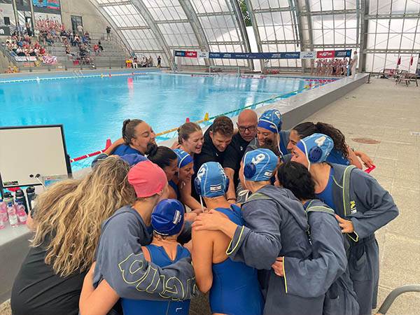 (איגוד הכדורמים)