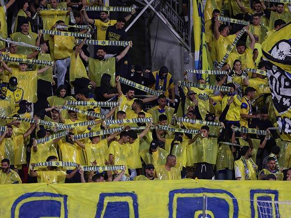 (מאור אלקסלסי)