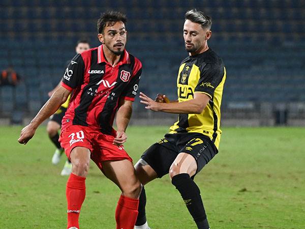 (צילום: ברני ארדוב)