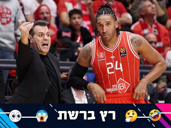 (אלן שיבר)