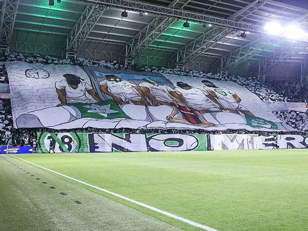 (צילום: מאור אלקסלסי)