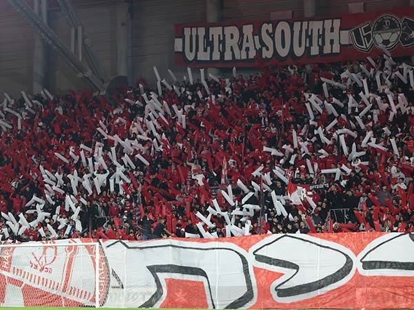 (צילום: דני מרון)