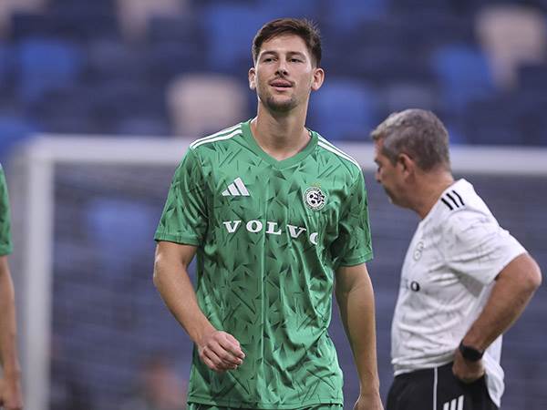 (מאור אלקסלסי)