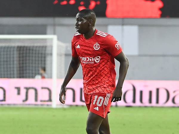 (ברני ארדוב)