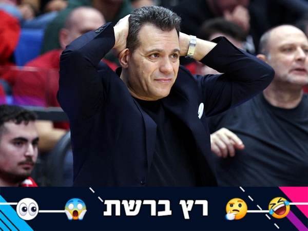 (אלן שיבר)