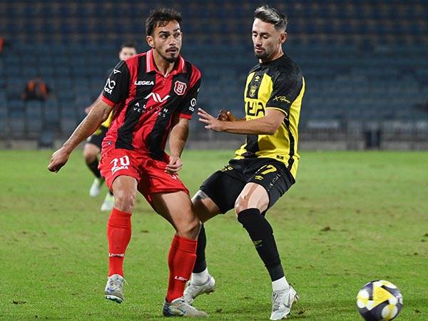 (ברני ארדוב)