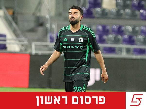 (אלן שיבר)