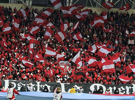 מקווים לימים יפים יותר, אוהדי הפועל ת"א (אלן שיבר)