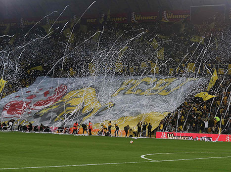 הקהל התמוגג, עם שחקני הנוער, בית"ר הפכה ללהיט (דני מרון)