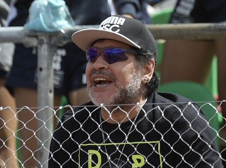 מראדונה מתמוגג ממנו (getty)