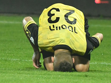 הייסטר. יעבור אולטרסאונד שיקבע את משך ההיעדרות (סוכנות ג'יני)