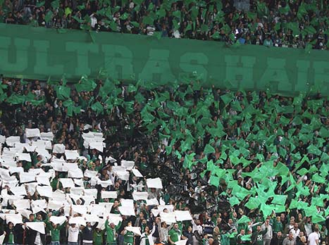 להם מגיע, לקבוצה קצת פחות (אלן שיבר)