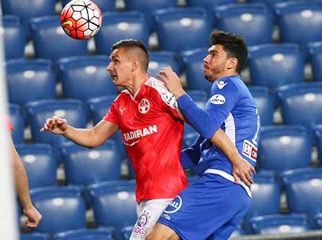 הובאן צפוי לרדת לספסל (אלן שיבר)