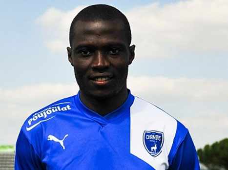 בקרוב בישראל? דונה אנדו (getty)