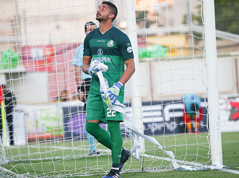 ג'רפי. פציעה מטרידה (דני מרון)