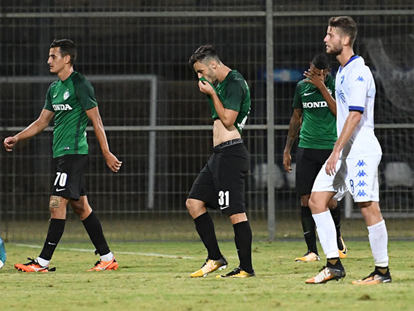 תסכול ירוק (סוכנות ג'יני)