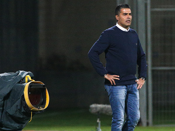 סילבס. רוצה תואר עם ק"ש (אנצ'ו גוש, סוכנות ג'יני)