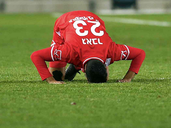 החגיגות היו קצרות (אלן שיבר)