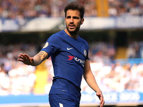 פברגאס. רוצה לפצות על המדליה האבודה (getty)