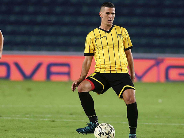 יחזור לכרמל? ורד (אלן שיבר)