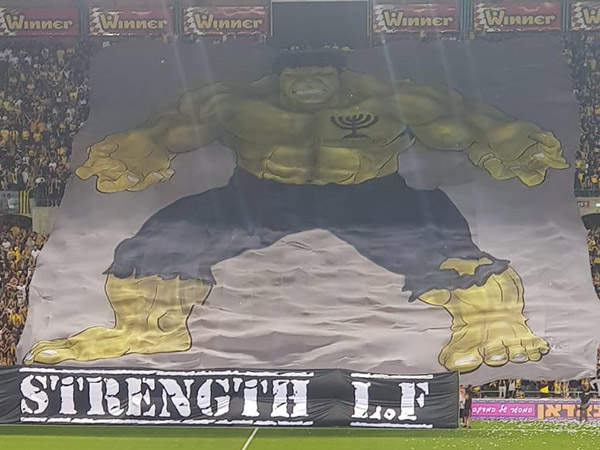 שאפו. אוהדי בית"ר (אלן שיבר)