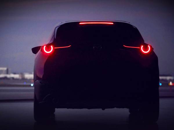 (צילום: יצרן)