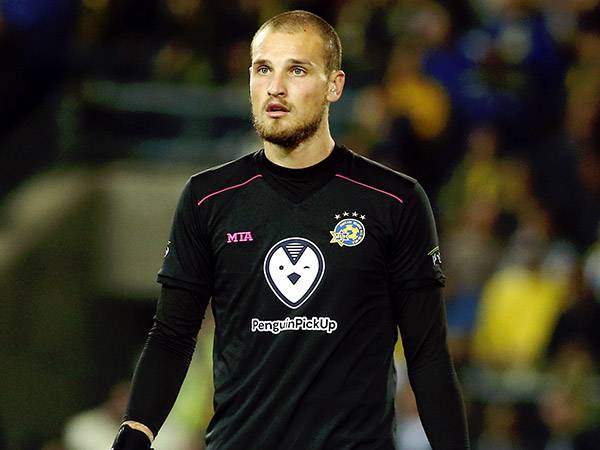 ירשים מול גרמניה ופורטוגל? (אלן שיבר)