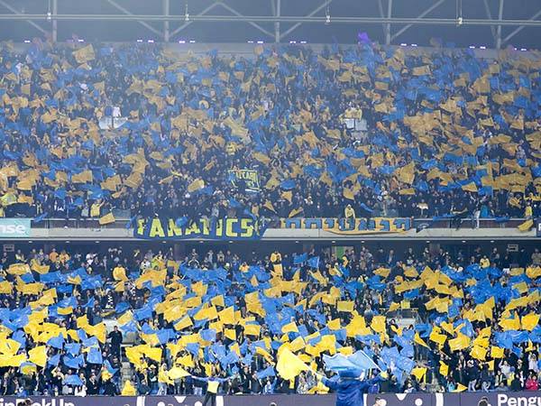 הקהל הצהוב הגיע בהמוניו להכתרה מול מכבי חיפה (דני מרון)