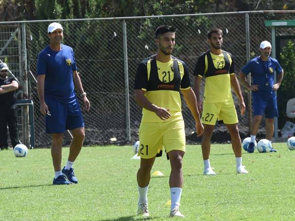 (אייל ספקטור)