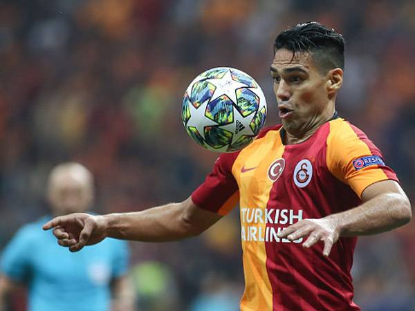 הנמר פצוע, פלקאו (getty)