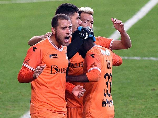 (ברני ארדוב)