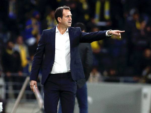 איביץ' לא התרשם מההופעה של קבוצתו. רוני לוי (אלן שיבר)