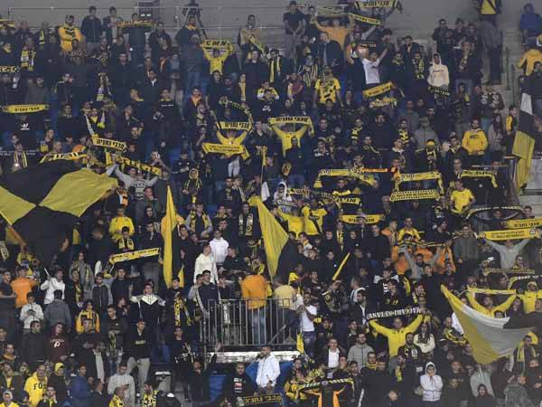 (ברני ארדוב)