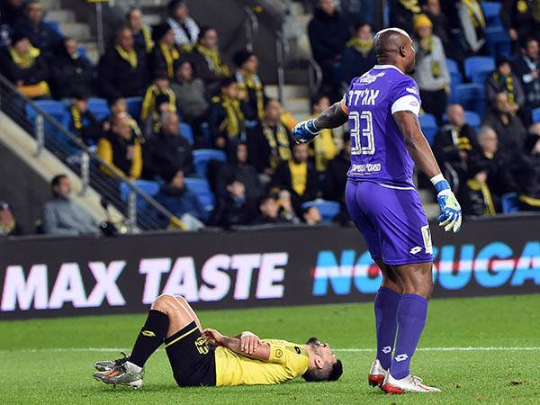 (ברני ארדוב)