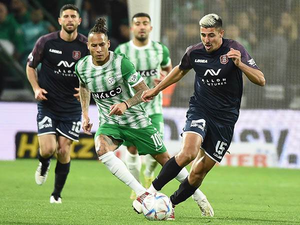 (ברני ארדוב)