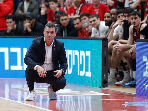 (צילום: אלן שיבר)