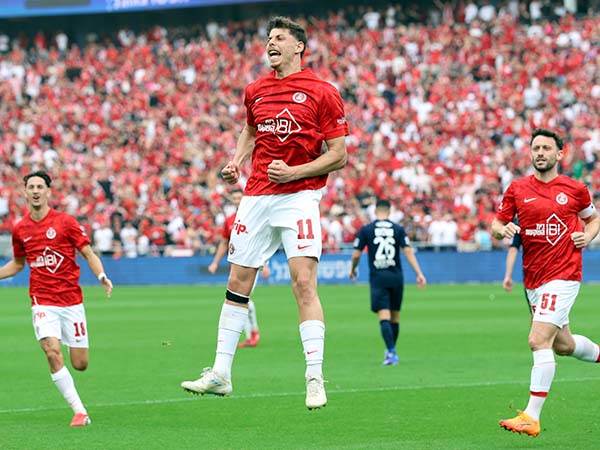 (צילום: אלן שיבר)