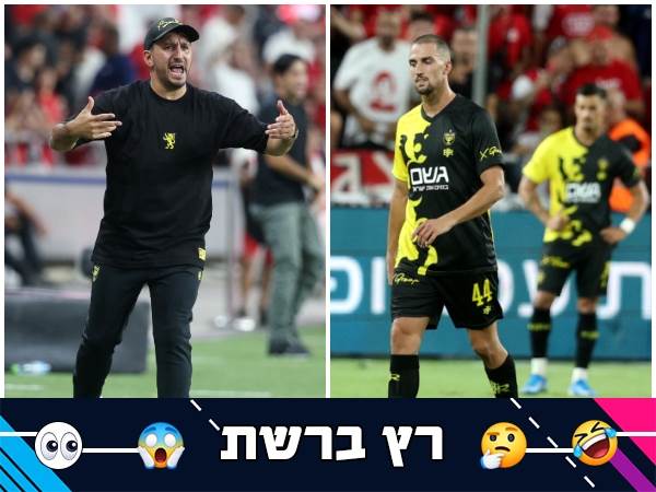 (אלן שיבר)