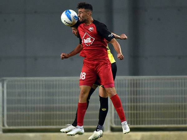 (ברני ארדוב)