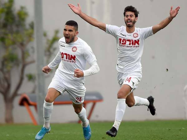 (ברני ארדוב)